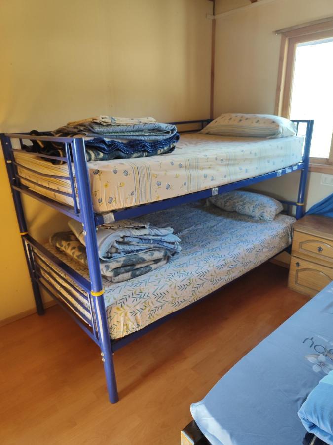 Alma Patagona Hostel 푸에르토 트란퀼로 외부 사진