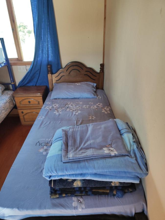 Alma Patagona Hostel 푸에르토 트란퀼로 외부 사진